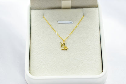 Κολιέ Ζώδιο Αιγόκερως (Capricorn) Κ14