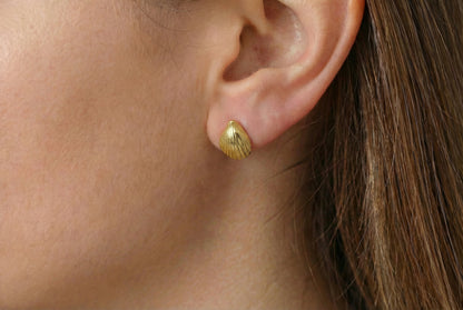 Χρυσά Σκουλαρίκια Κοχύλι Κ14