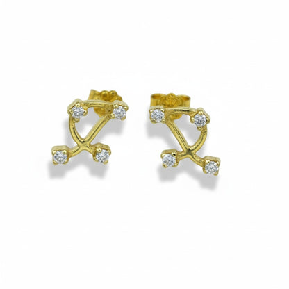 Σκουλαρίκια Ζωδιακός Αστερισμός Κ14